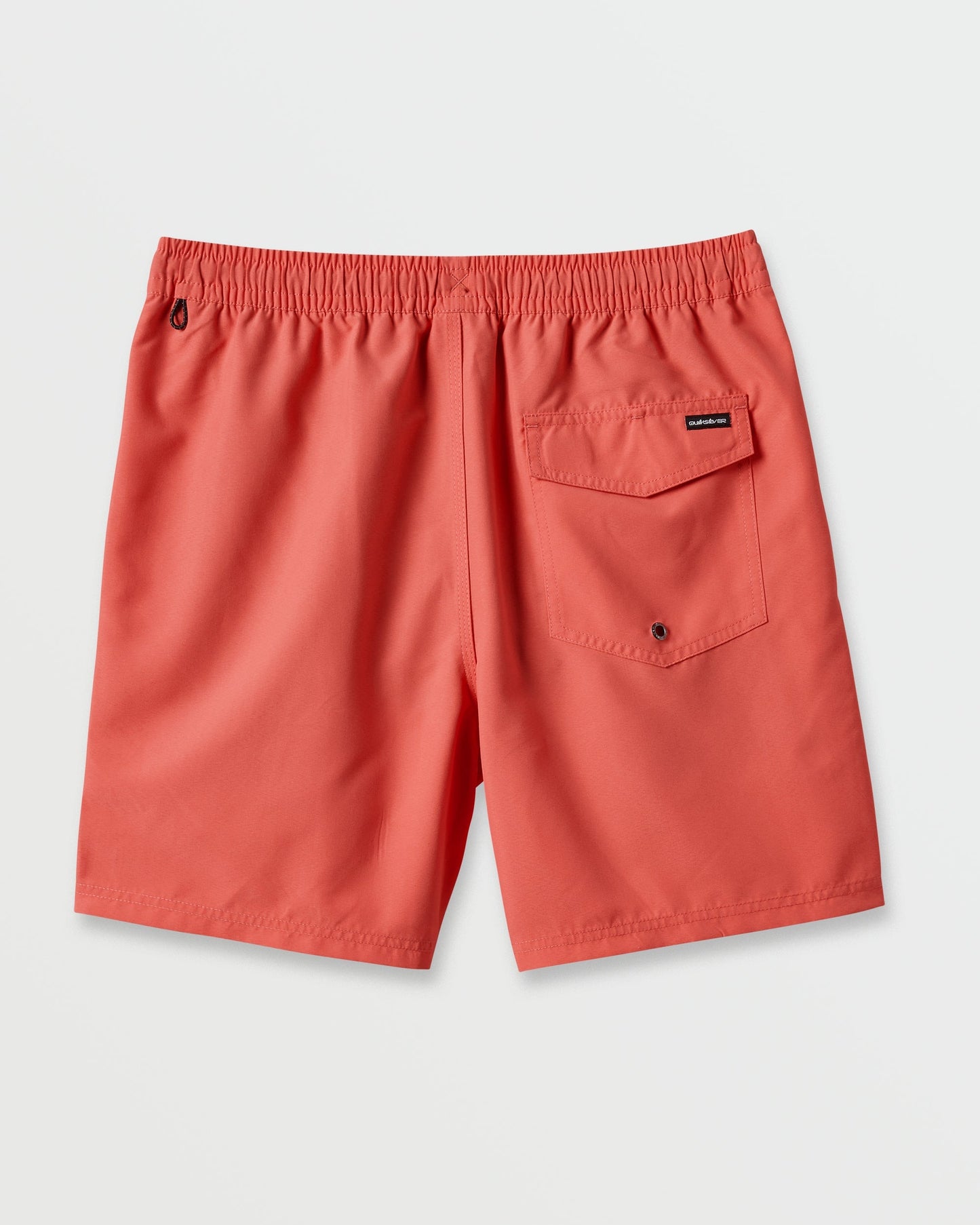 Everyday Solid 17" Swim Trunks - Dubarry
